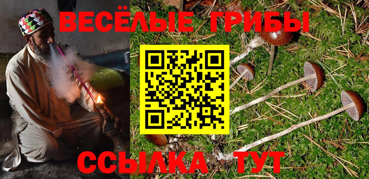 Псилоцибиновые грибы Psilocybine cubensis  Вход с VPN  Псилоцибиновые грибы Magic Shrooms  Артёмовский 